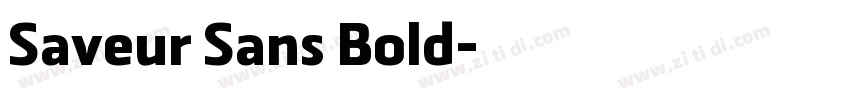 Saveur Sans Bold字体转换